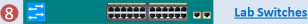 Lab switches